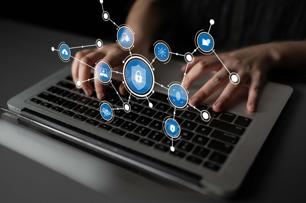 Whole-of-Government Virtual Inspections